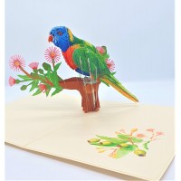 Handmade 3D Pop Up Card Parrot Bird Happy Birthday,wedding Anniversary,mother's Day,father's Day,moving,leaving,valentine's Day